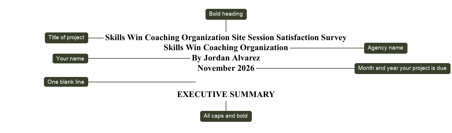 An executive summary header with callout labels: the project title, agency name, your name, and the month and year the project is due, each bold and centered, followed by one blank line and then EXECUTIVE SUMMARY in all caps and bold.