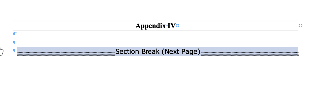 A section break selected and highlighted in Word.